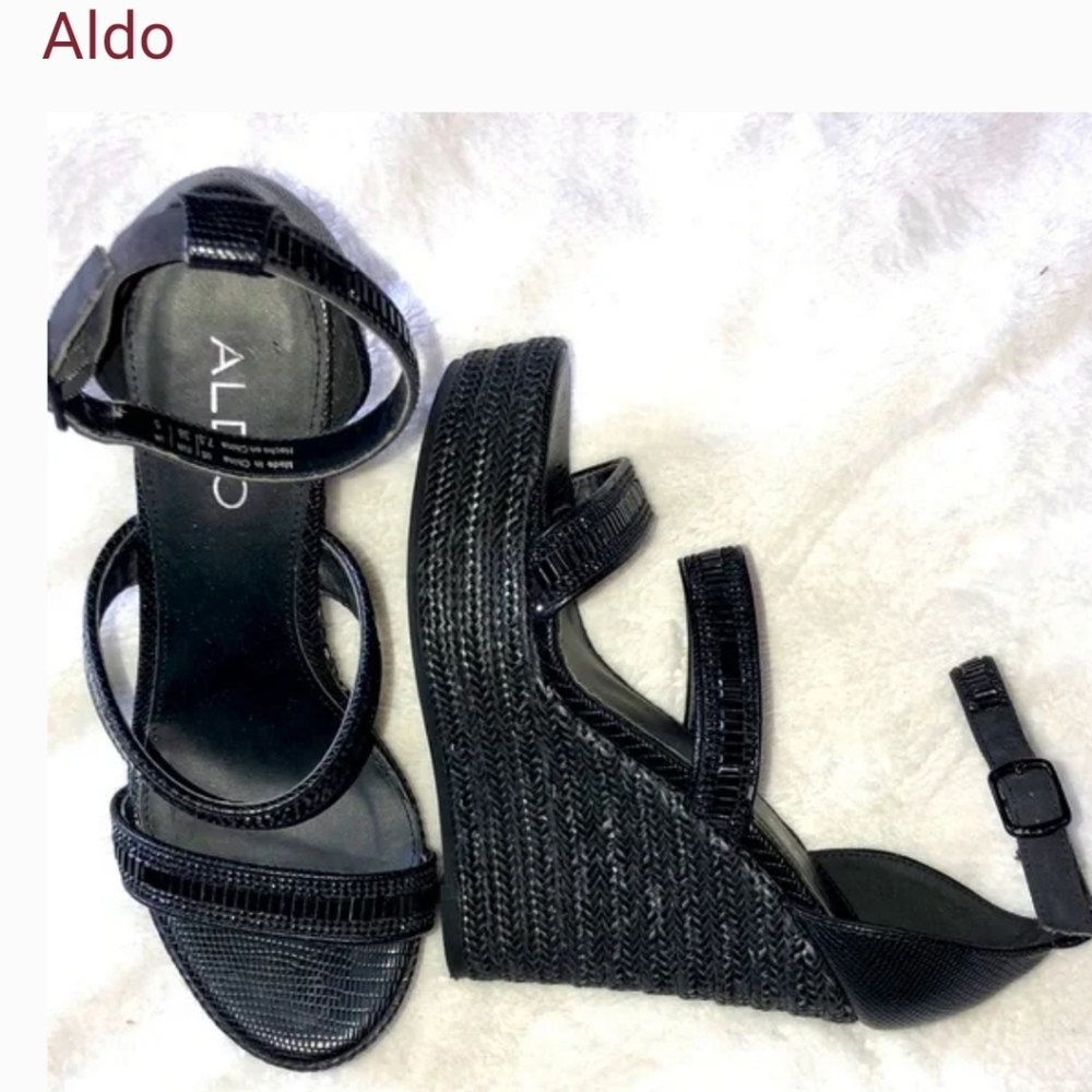 Aldo 6